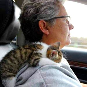 Meet your Posher, Kathy